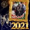 wilfredo_guzman